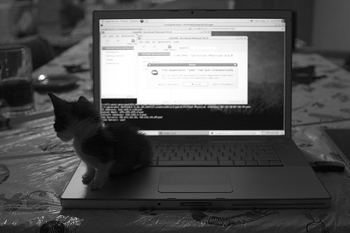 Geek Felino (click para ir a la galería del autor en Flickr)